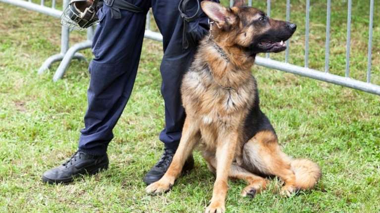 Αστυνομικοί συγκινημένοι αποχαιρετούν σκύλο συνάδελφό τους (ΦΩΤΟ)