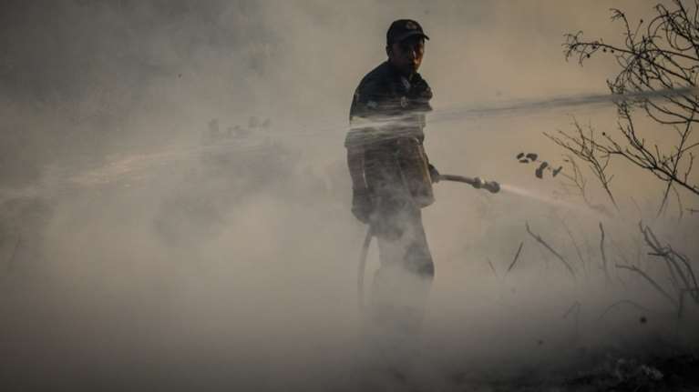 Πυρκαγιά ξέσπασε στην περιοχή Αλφειούσα της Ηλείας