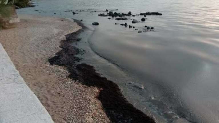 Μαύρισαν οι παραλίες στη Σαλαμίνα- συγκλονιστικές εικόνες