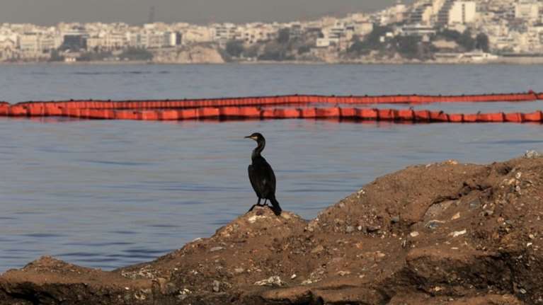 Καθηγητής τοξικολογίας: 2 χρόνια για να καθαρίσει ο Σαρωνικός