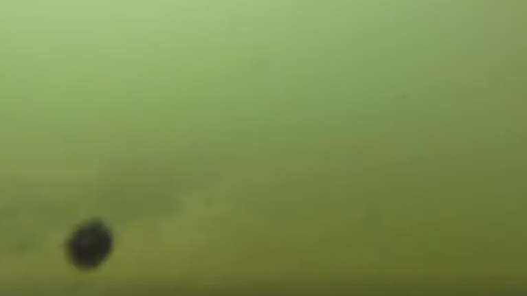 Εικόνες σοκ: Κομμάτια μαζούτ στο βυθό της παραλίας στη Γλυφάδα