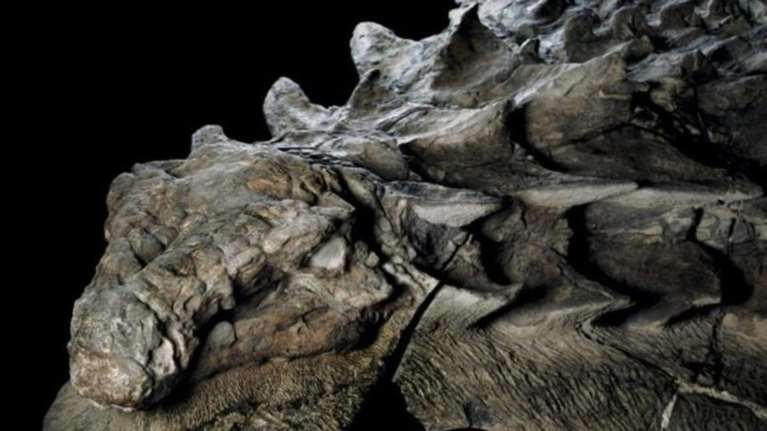 Ο τρομακτικός Ρεξ, ο αλλόκοτος Τρικέρατος γυρίζουν το ρολόι της γης