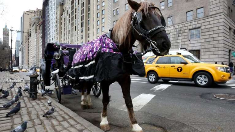 Και όμως υπάρχουν στάβλοι στην «καρδιά» της Νέας Υόρκης