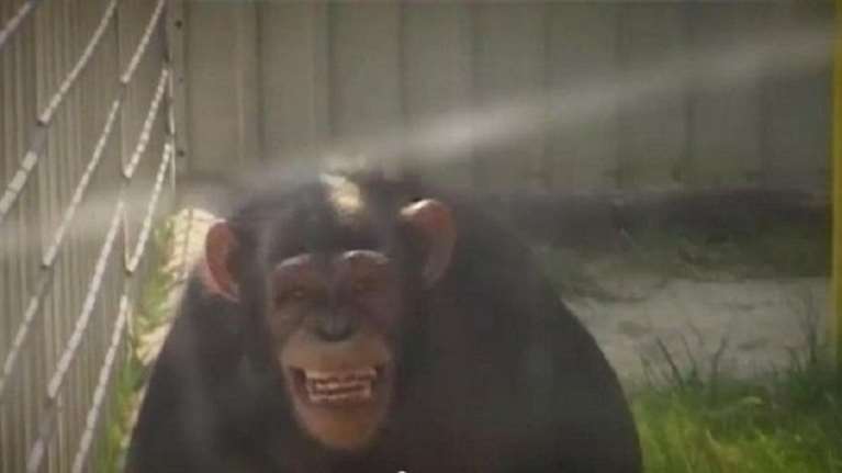 Έξαλλος ο Ρομέο άρπαξε τον φύλακα που &quot;φλέρταρε&quot; την Ιουλιέτα (ΦΩΤΟ)