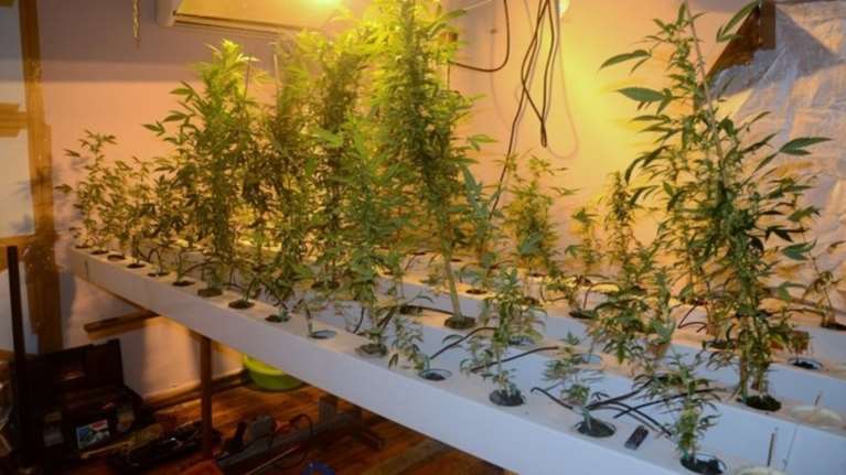 Υδροπονική καλλιέργεια κάνναβης σε... διαμέρισμα στη Λάρισα