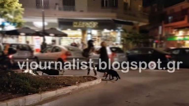 Άγριο ξύλο ανάμεσα σε δύο γυναίκες στη Θεσσαλονίκη - Βίντεο