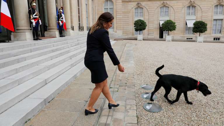 Ο Νέμο του Μακρόν πιάστηκε στα... πράσα να λερώνει το προεδρικό γραφείο