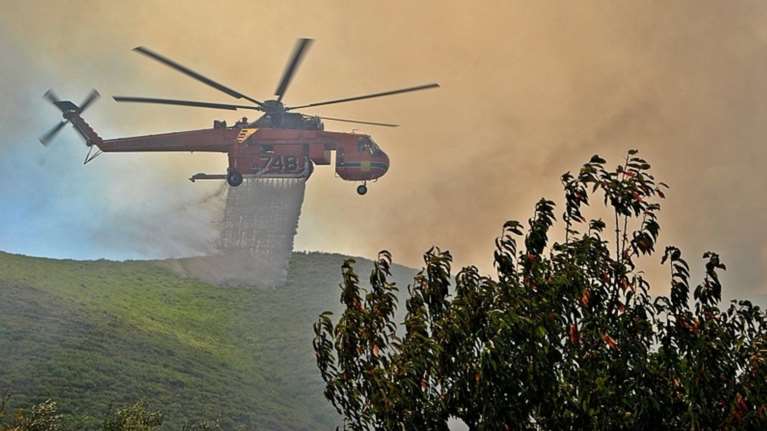 Θα κηρυχθούν αναδασωτέες οι καμμένες περιοχές στη Ζάκυνθο