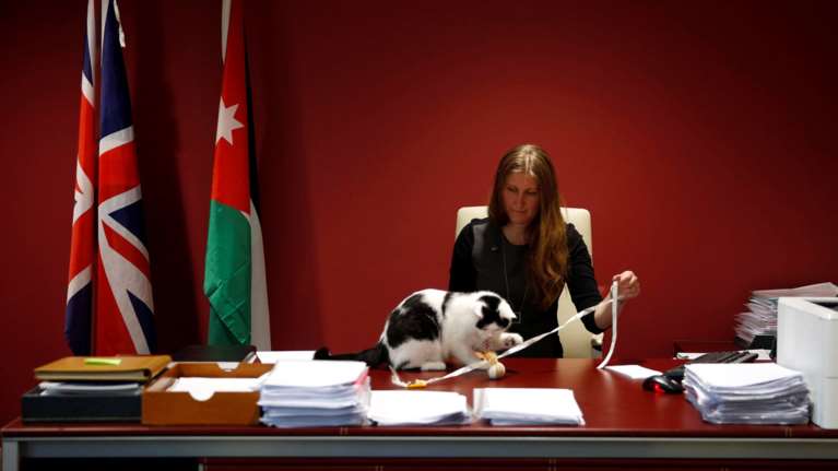 Ο Λόρενς του Αμπντούν: Η πρώτη γάτα... διπλωμάτης