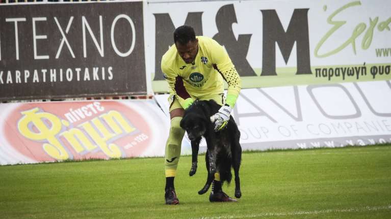 Απρόσμενος «επισκέπτης» για λίγο σε ματς στο «Θ. Βαρδινογιάννης» - Εικόνες