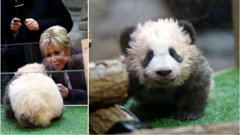 Μπριζίτ Μακρόν: Η πρώτη κυρία της Γαλλίας "βάφτισε" ένα γλυκύτατο panda