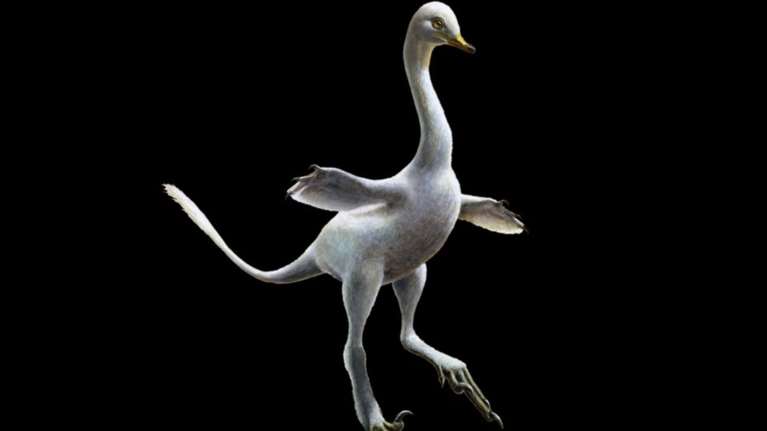 Ανακαλύφθηκε ο πρώτος αμφίβιος σαρκοβόρος δεινόσαυρος