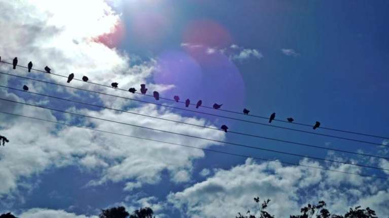 Βελτίωση του καιρού από σήμερα, αλλά το κρύο επιμένει