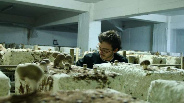 Μια υδροπονική φάρμα κάτω από τους δρόμους του Παρισιού