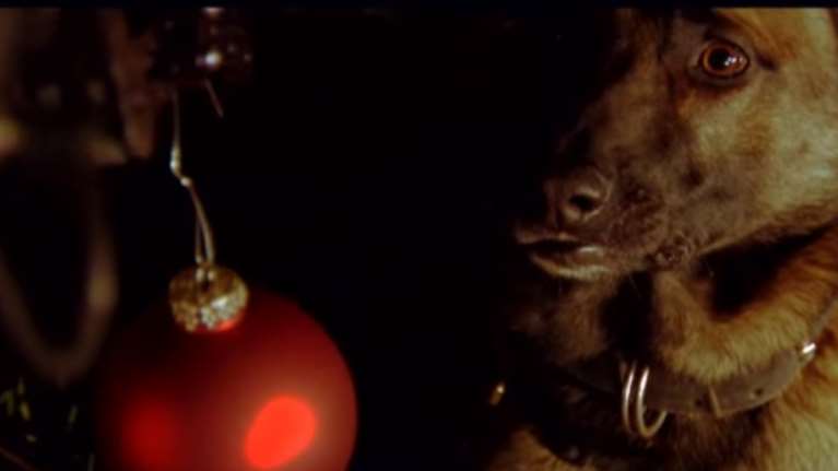 Κινηματογραφική ταινία το χριστουγεννιάτικο βίντεο της ΕΛΑΣ