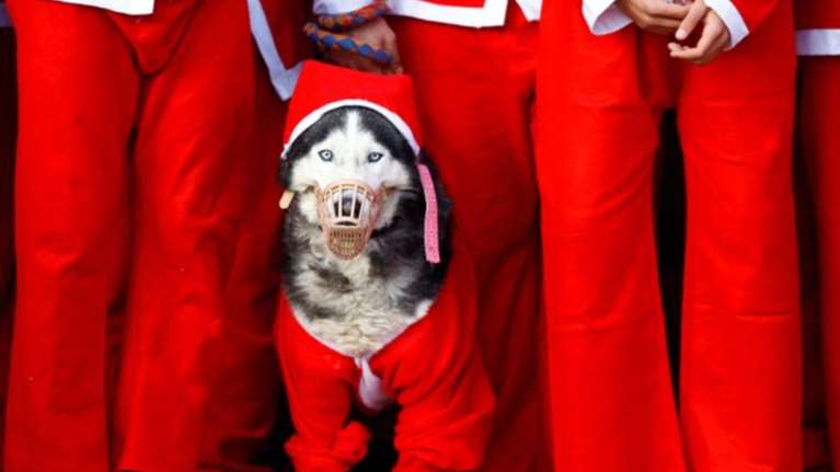 Στιγμιότυπα από τα Χριστούγεννα στον κόσμο