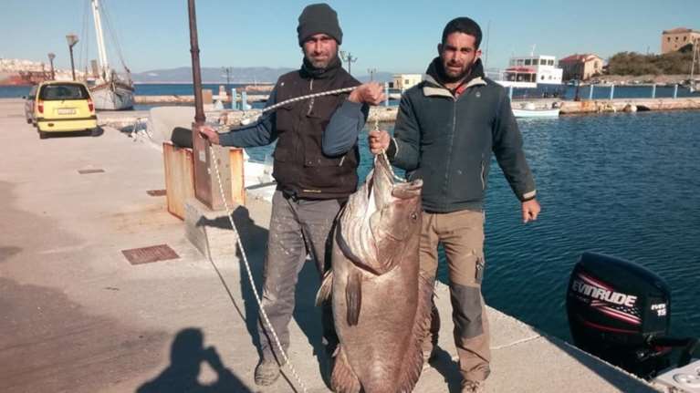 Η ψαριά της χρονιάς στη Σύρο με ένα απλό καλάμι