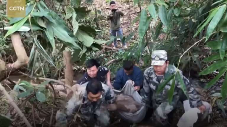 Έσωσαν ελεφαντάκι που είχε εγκλωβιστεί μέσα σε χαντάκι [βίντεο]