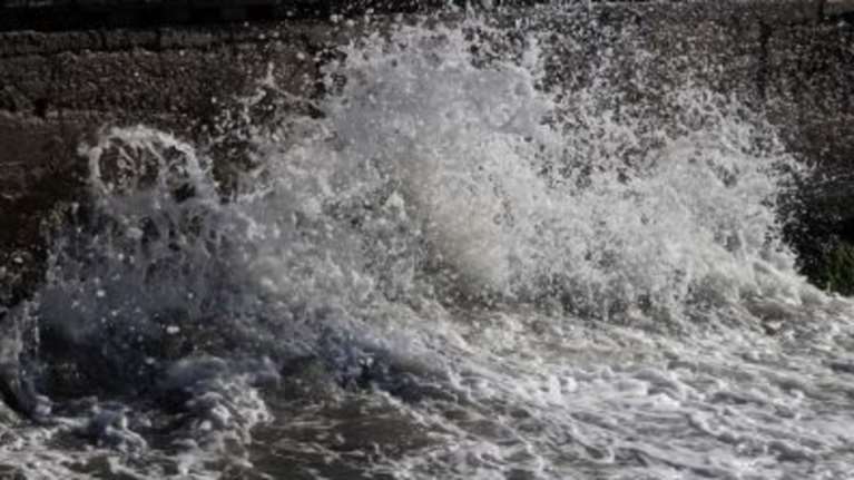 Στο έλεος των ανέμων η χώρα: Πτώσεις δέντρων, διακοπές ρεύματος - Εικόνες