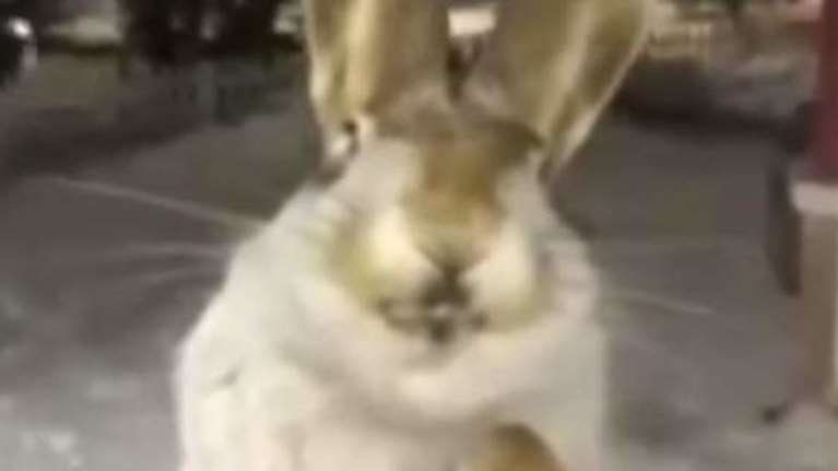 Εικόνες-σοκ στο Καζακστάν: Στους -56 η θερμοκρασία