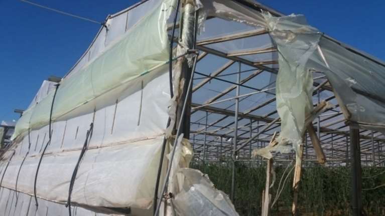 Κρήτη: Σε κατάσταση έκτακτης ανάγκης περιοχές που χτύπησε η ανεμοθύελλα