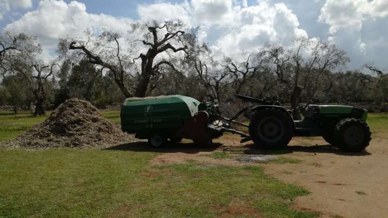 Ενέργεια από κλαδέματα και αγροτική βιομάζα- Αναξιοποίητοι 3 εκατ. τόνοι