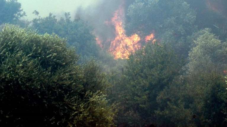 Ξέσπασε φωτιά στα Χανιά - Πνέουν ισχυροί άνεμοι στην περιοχή