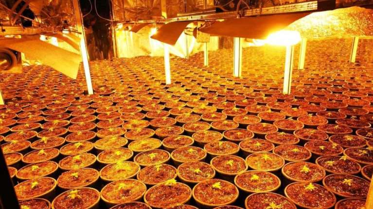 Υδροπονική... χασισοφυτεία σε  πολυτελή κατοικία στο Λαγονήσι