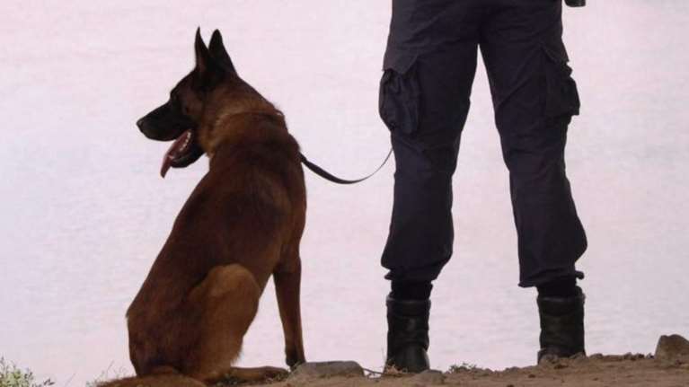 Ο συγκινητικός αποχαιρετισμός της ΕΛ.ΑΣ. στο λυκόσκυλο Κ-9 Satan