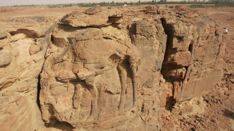 Αρχαιολόγοι ανακάλυψαν ...καμήλες ηλικίας 2.000 ετών