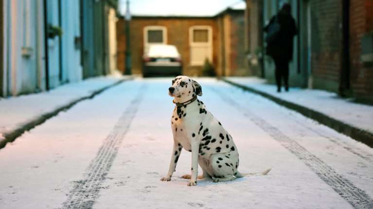 Πάγωσαν Λονδίνο και Δουβλίνο από τον χιονιά