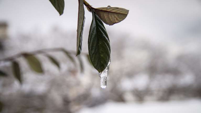 Εντυπωσιακή διαφορά θερμοκρασίας μεταξύ βόρειας και νότιας Ελλάδας