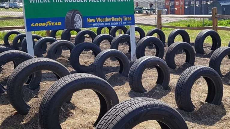 Ελαστικά με σογιέλαιο: Δεν γλυστράνε! Εχουν καλύτερα κρατήματα