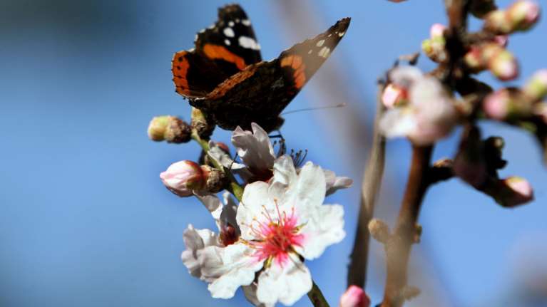 Καλός καιρός με άνοδο θερμοκρασίας και αφρικανική σκόνη