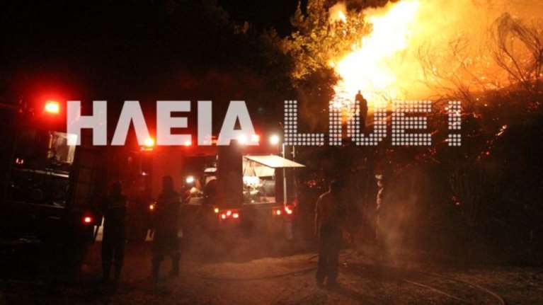 Μάχη με τη φωτιά και τους ισχυρούς νοτιάδες σε Αυλώνα, Ηλεία, Κρήτη