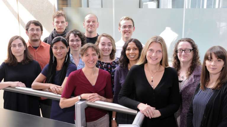 Ελληνίδα ανακάλυψε γονίδια που συνδέονται με την οστεοαρθρίτιδα