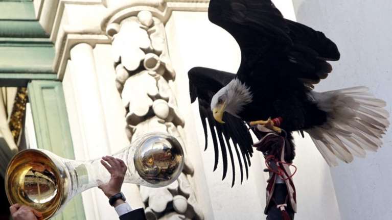 &quot;Απέδρασε&quot; ο αετός - μασκότ της Μπενφίκα πριν το ματς