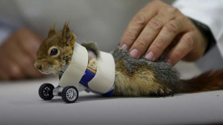 Όταν η Ιατρική συναντά την ευαισθησία...