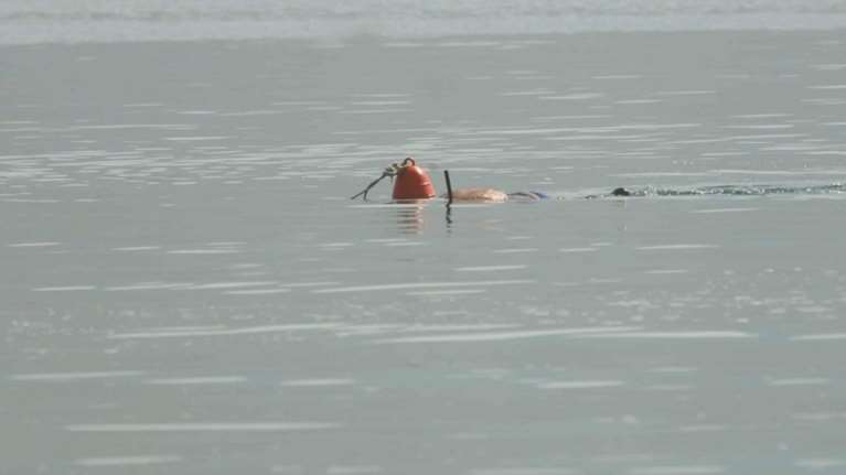 Νεκρός 25χρονος ψαροντουφεκάς στην Αργολίδα