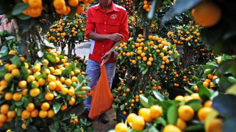 DW: Η μαφία στην παραγωγική αλυσίδα της ιταλικής γεωργίας