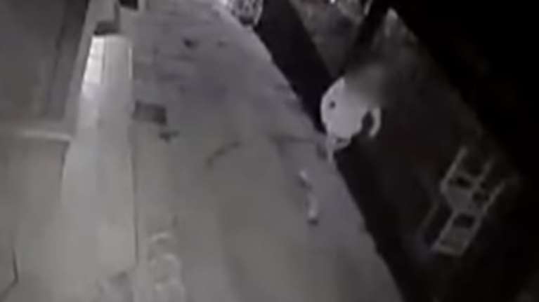 Στα πράσα διαρρήκτες ψαροταβέρνας: Καρέ καρέ η δράση τους Βίντεο