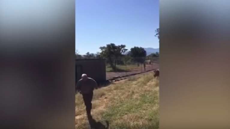 Λιοντάρι άρπαξε και έσυρε ιδιοκτήτη άγριου πάρκου (βίντεο)