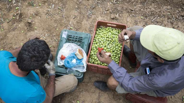 Διαγραφή χρεών έως 60% για χιλιάδες δανειολήπτες αγρότες