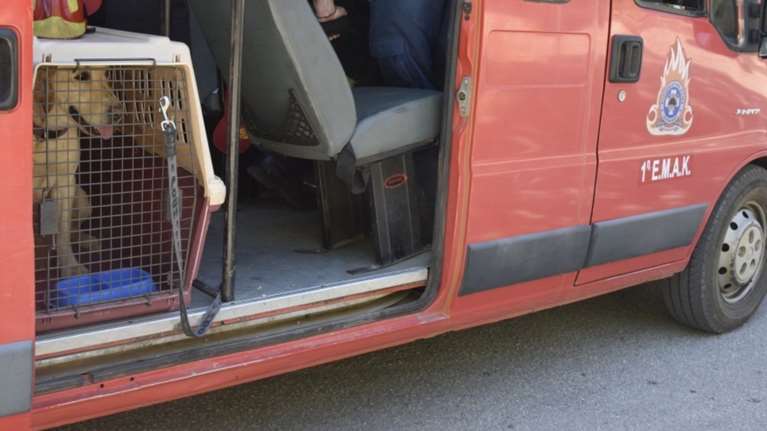 Σε δύσβατη περιοχή του Ρεθύμνου αναζητούν 37χρονη έγκυο