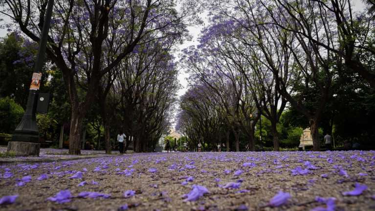 Αφρικανική σκόνη και βροχές την Πέμπτη