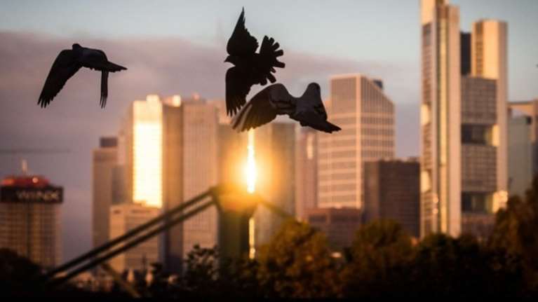 Μέχρι τα μέσα του αιώνα, το 68% των ανθρώπων θα ζει σε μεγάλα αστικά κέντρα