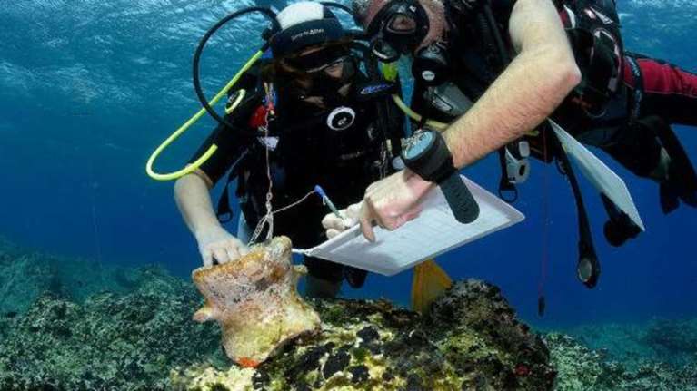 Οι αρχαιότητες που αποκάλυψε η υποβρύχια έρευνα στη Νάξο. Υπέροχες φωτό