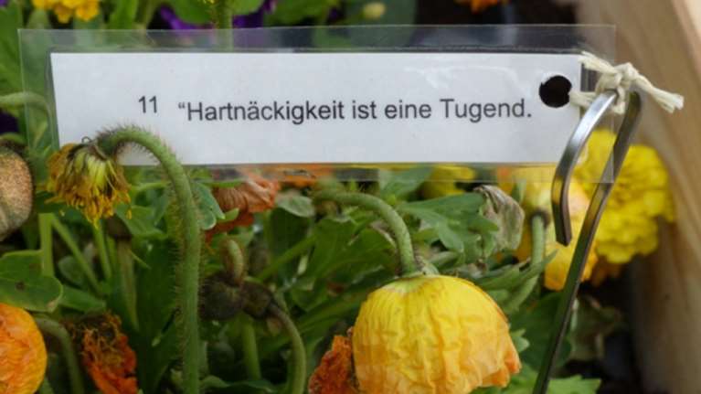 Πράσινες διαδρομές από το Επιγραφικό Μουσείο