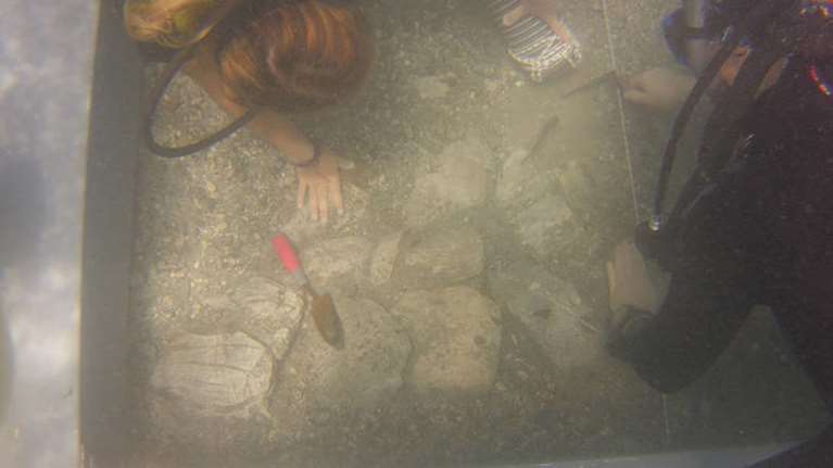 Αρχαιολόγοι ανακάλυψαν πρώτη φορά ιππήλατα άρματα ηλικίας 4.000 χρόνων