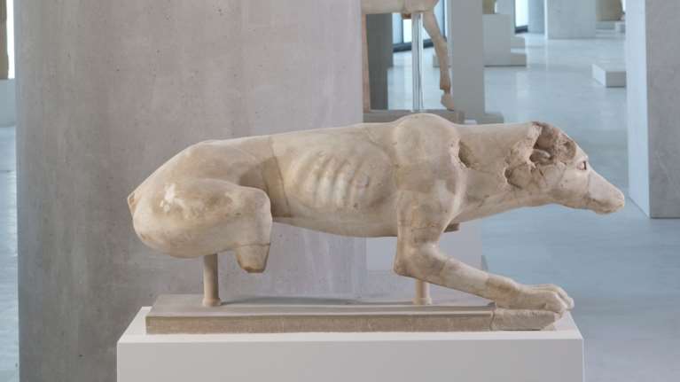 Καλοκαίρι παρέα με τα ζώα του Μουσείου Ακρόπολης